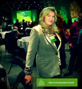 Ambassador Renate Award Ohio Environmental Council 2013 Green Gala Iceality